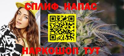 СК Гусев