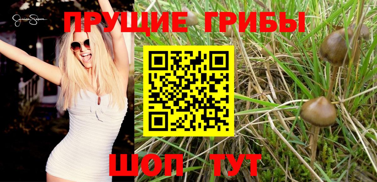 Нижнекамск  Галлюциногенные грибы Magic Shrooms  Вход с VPN 